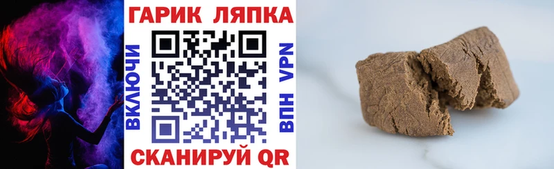где продают наркотики  МЕГА маркетплейс  Гашиш Cannabis  Лесозаводск 