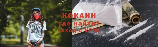 соль ск Арсеньев
